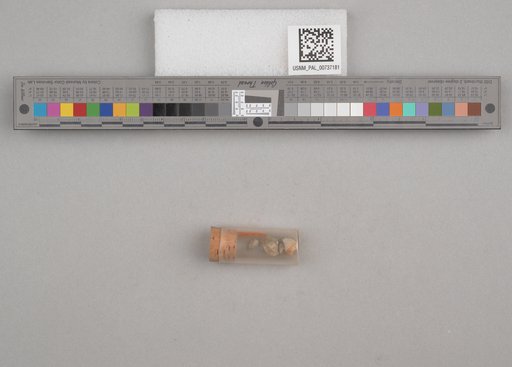 NSF ADBC EPICC TCN