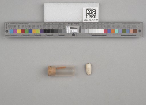 NSF ADBC EPICC TCN