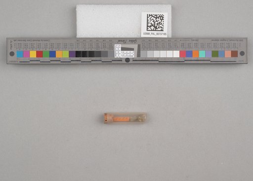 NSF ADBC EPICC TCN