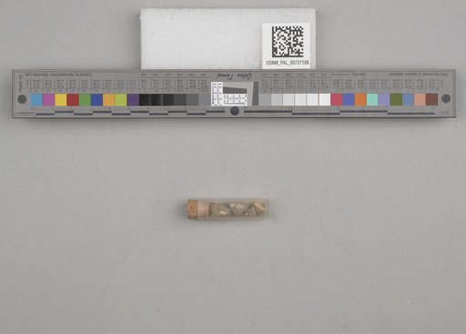 NSF ADBC EPICC TCN