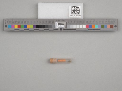 NSF ADBC EPICC TCN