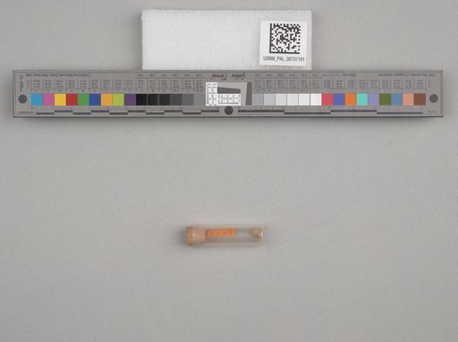 NSF ADBC EPICC TCN