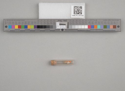 NSF ADBC EPICC TCN