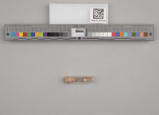 NSF ADBC EPICC TCN