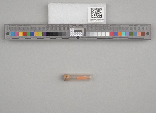 NSF ADBC EPICC TCN