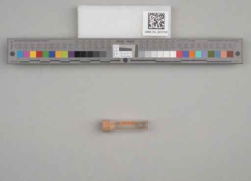 NSF ADBC EPICC TCN