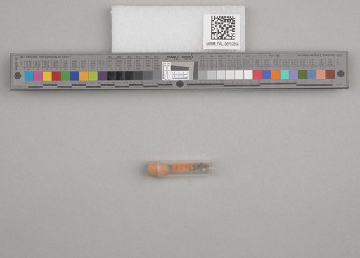 NSF ADBC EPICC TCN