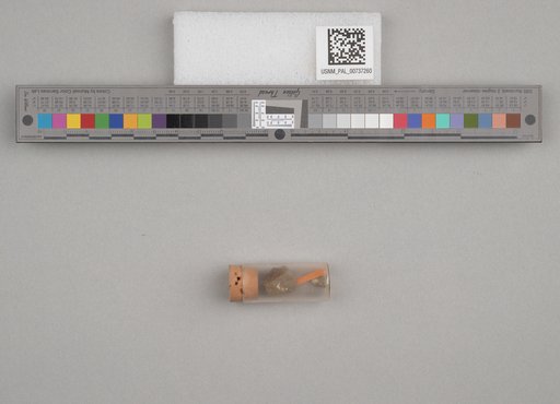 NSF ADBC EPICC TCN