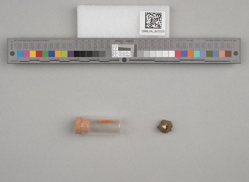 NSF ADBC EPICC TCN