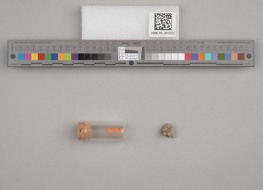 NSF ADBC EPICC TCN