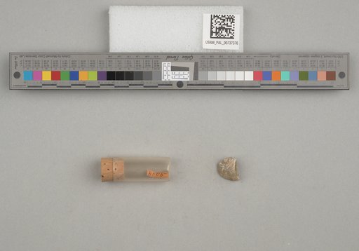 NSF ADBC EPICC TCN