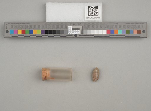 NSF ADBC EPICC TCN