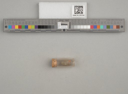 NSF ADBC EPICC TCN