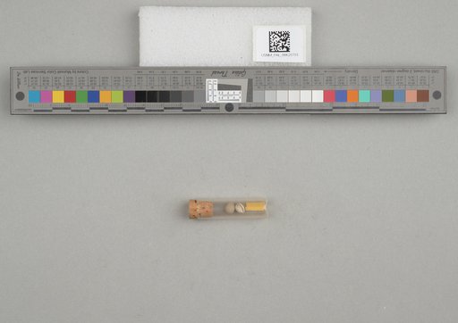 NSF ADBC EPICC TCN