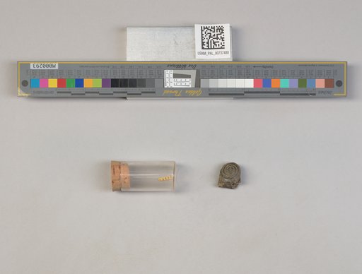 NSF ADBC EPICC TCN