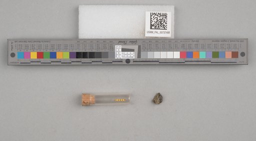 NSF ADBC EPICC TCN