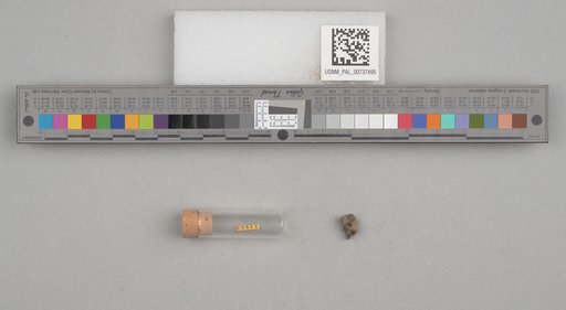 NSF ADBC EPICC TCN