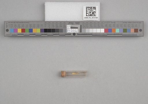 NSF ADBC EPICC TCN