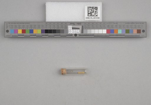 NSF ADBC EPICC TCN
