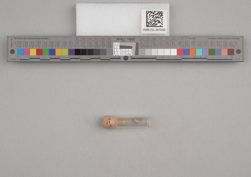 NSF ADBC EPICC TCN