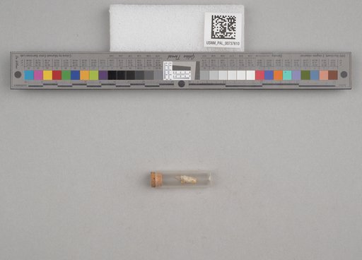 NSF ADBC EPICC TCN
