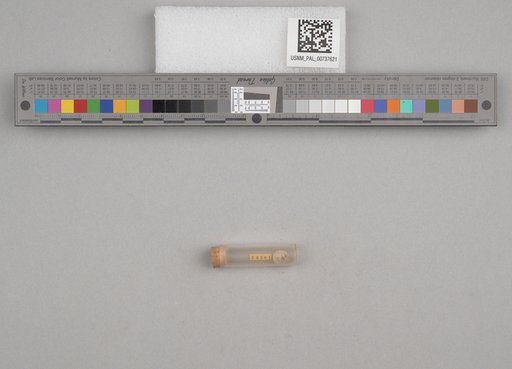 NSF ADBC EPICC TCN