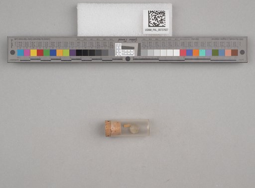 NSF ADBC EPICC TCN