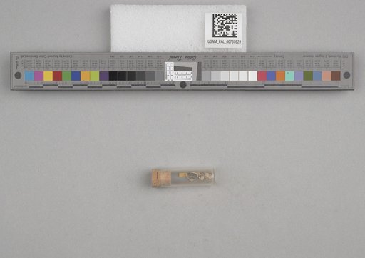 NSF ADBC EPICC TCN