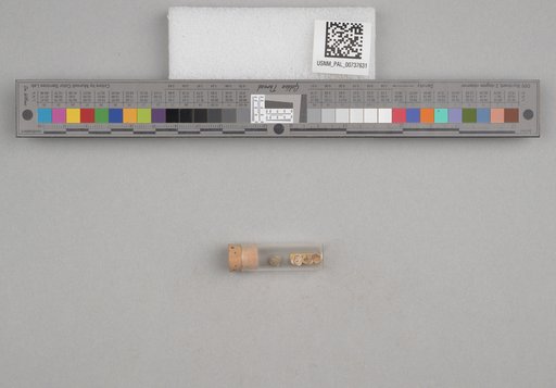 NSF ADBC EPICC TCN