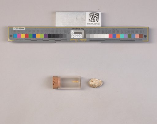 NSF ADBC EPICC TCN