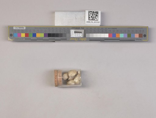 NSF ADBC EPICC TCN