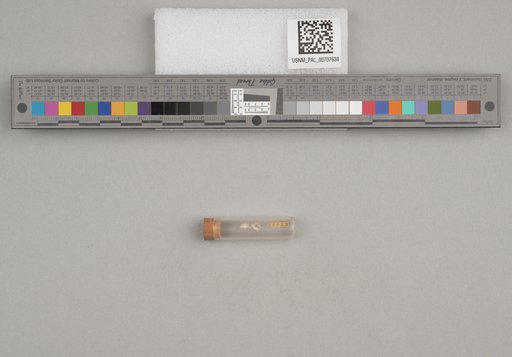 NSF ADBC EPICC TCN