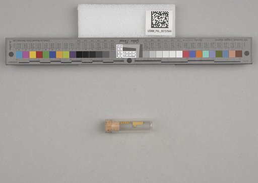 NSF ADBC EPICC TCN