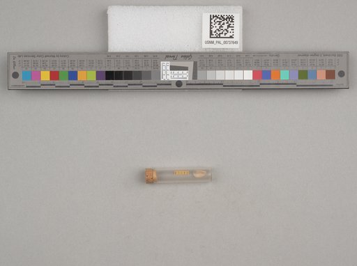NSF ADBC EPICC TCN
