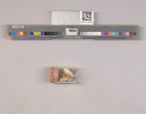 NSF ADBC EPICC TCN