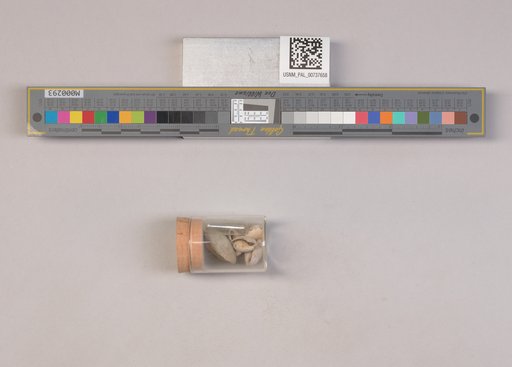 NSF ADBC EPICC TCN