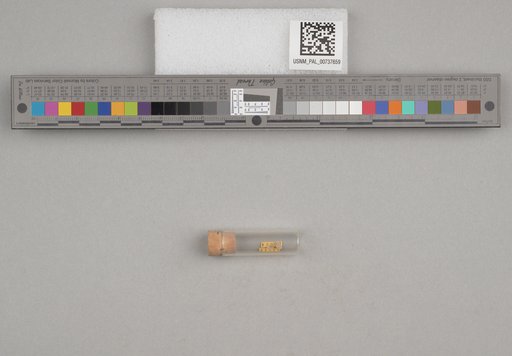 NSF ADBC EPICC TCN