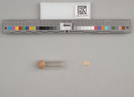 NSF ADBC EPICC TCN