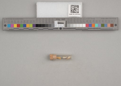 NSF ADBC EPICC TCN