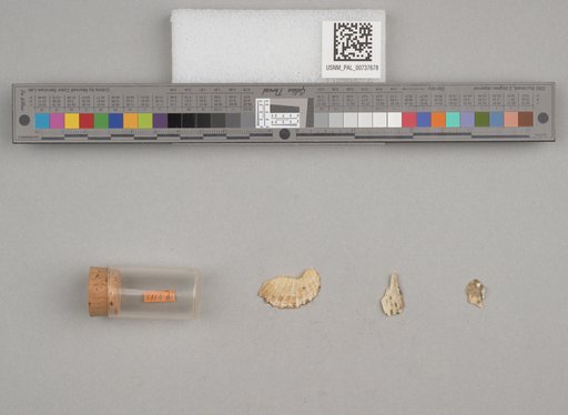 NSF ADBC EPICC TCN