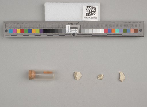 NSF ADBC EPICC TCN