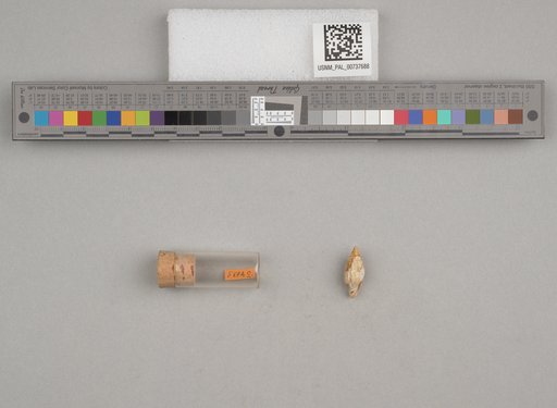NSF ADBC EPICC TCN