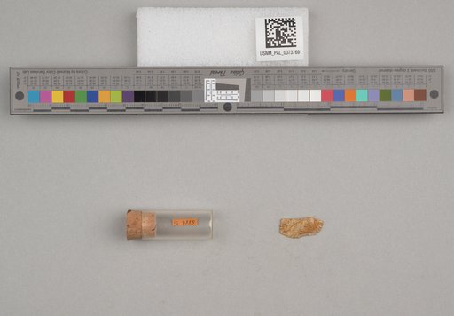 NSF ADBC EPICC TCN