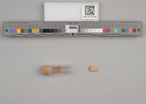 NSF ADBC EPICC TCN