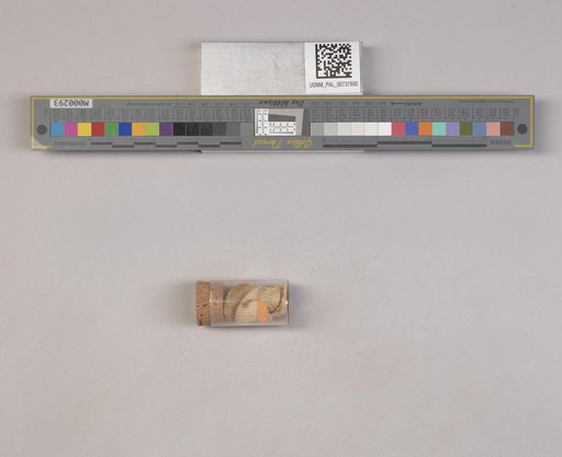 NSF ADBC EPICC TCN