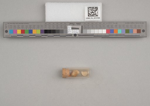 NSF ADBC EPICC TCN