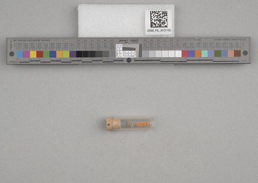 NSF ADBC EPICC TCN