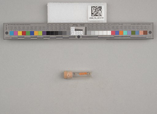 NSF ADBC EPICC TCN