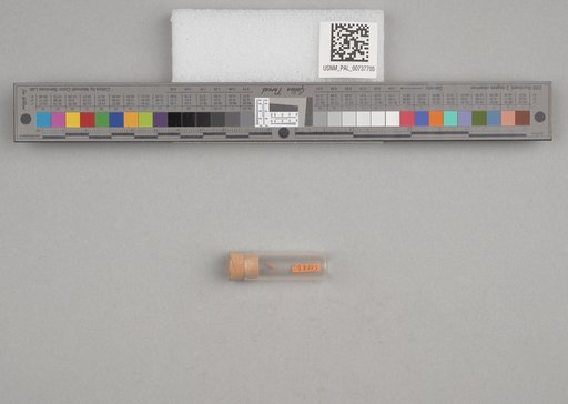 NSF ADBC EPICC TCN