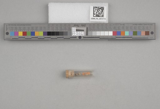 NSF ADBC EPICC TCN